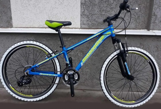 Mascotte  Phoenix 24" V12 блакитний