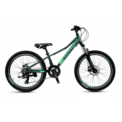 FORT 24 Desire MD green