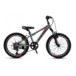 Mascotte  Spark-S 20" V сірий